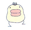 chr_tarakotchi.jpg